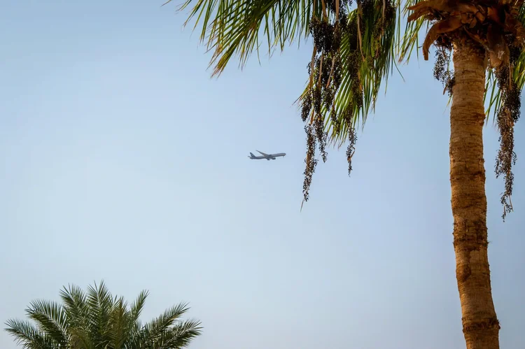 Aircraft in the sky above a Cook Islands palm tree